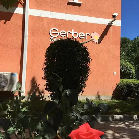 Gerber 1 Daire Sunny Beach